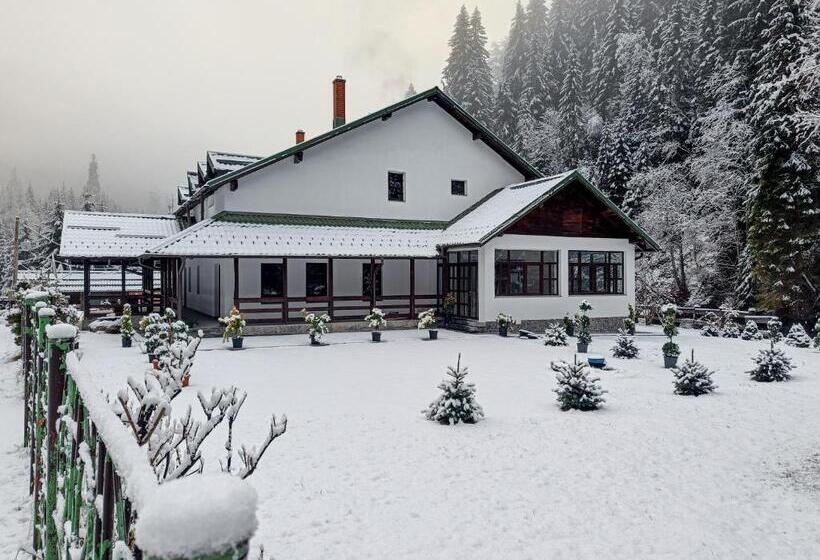 膳宿费 Cabana Bratei