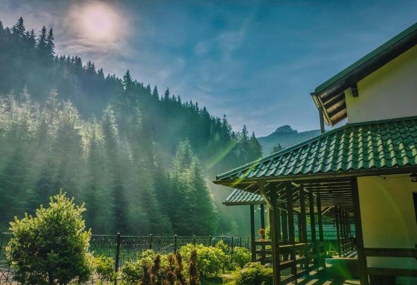 膳宿费 Cabana Bratei