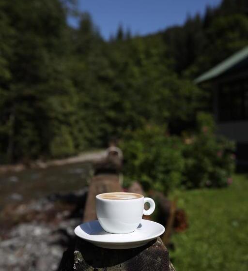 膳宿费 Cabana Bratei