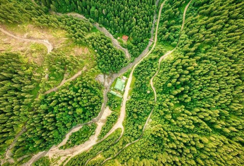 بنسيون Cabana Bratei