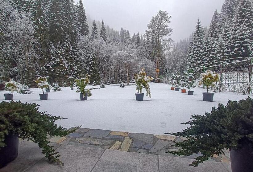 膳宿费 Cabana Bratei