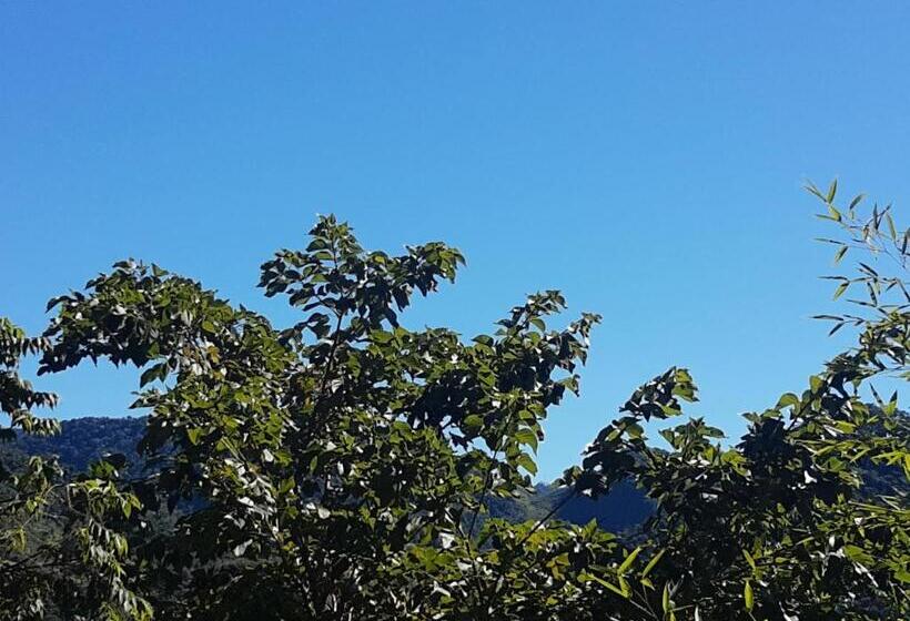 Пансион Casa Beaflor