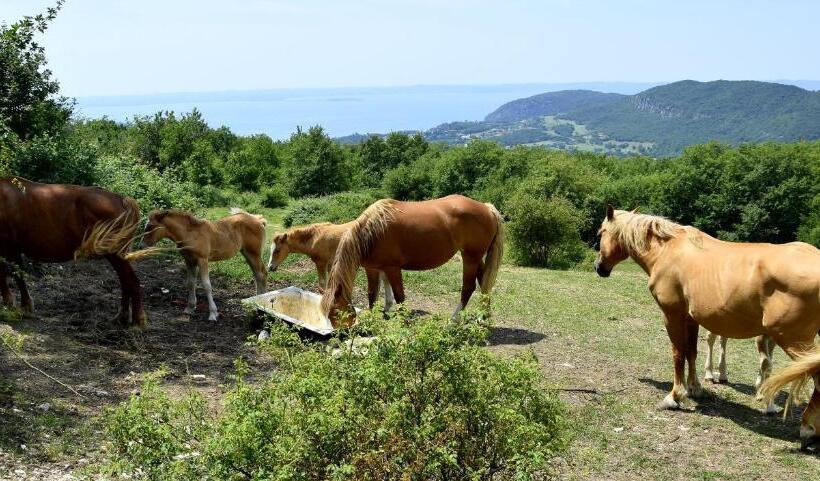 פנסיון Casa Betulla