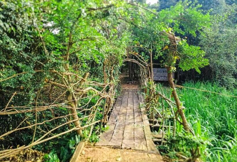 膳宿费 Habarana City Hostel