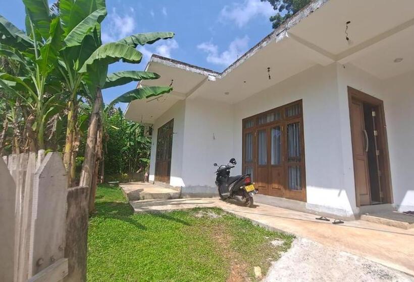 膳宿费 Surf Monkey Breeze