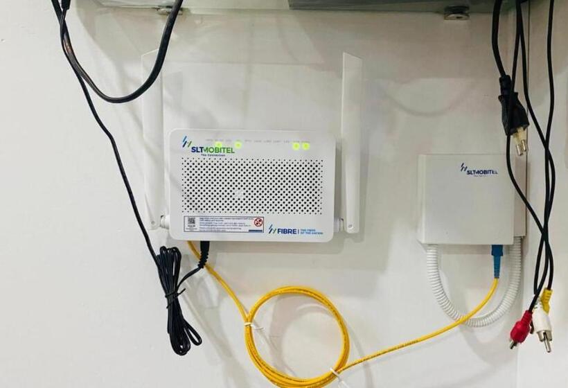 膳宿费 Surf Monkey Breeze