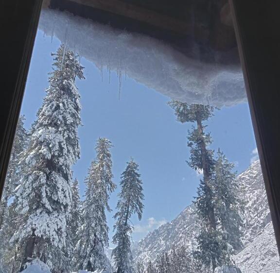 ペンション Woodstock Villa Rooms&entirevilla Tulga