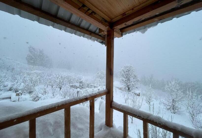 ペンション Woodstock Villa Rooms&entirevilla Tulga