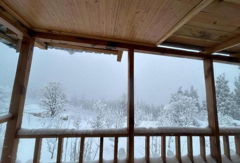 ペンション Woodstock Villa Rooms&entirevilla Tulga