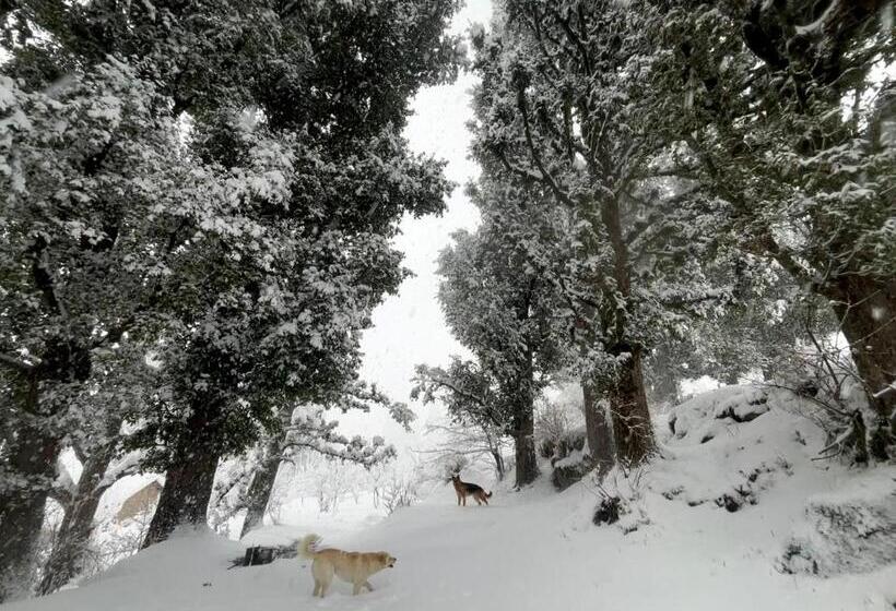 펜션 Woodstock Villa Rooms&entirevilla Tulga