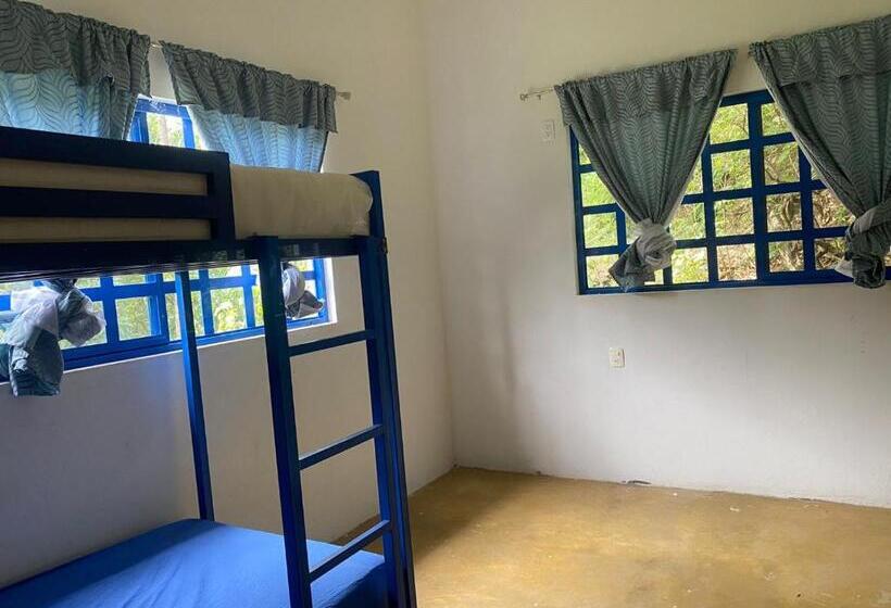 منتجع Avivamiento