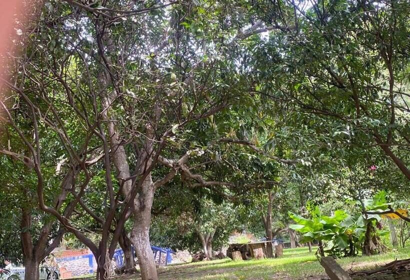 منتجع Avivamiento