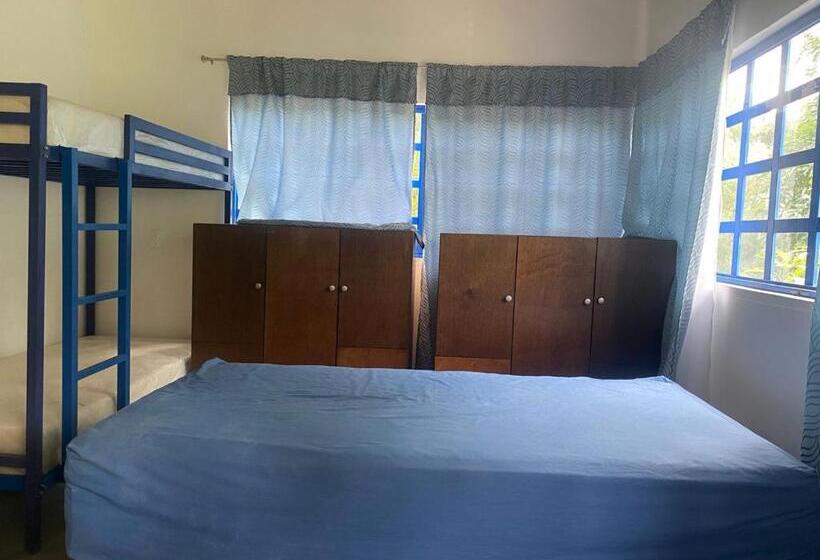 منتجع Avivamiento