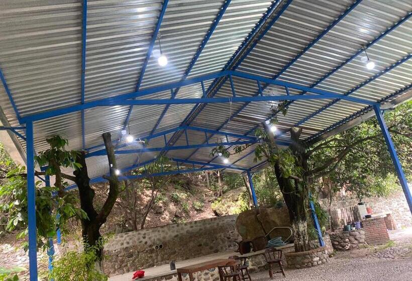 منتجع Avivamiento