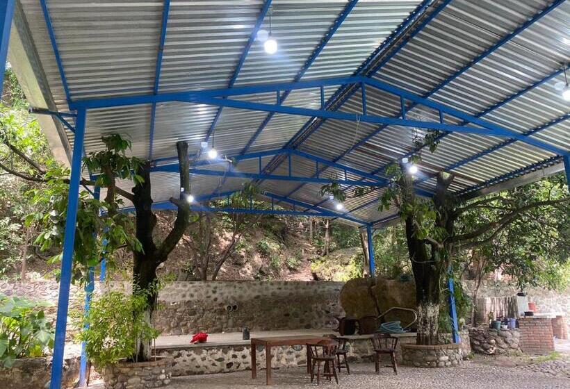 منتجع Avivamiento