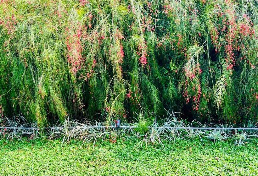 리조트 Nature Sanctuary Urumbi Hills