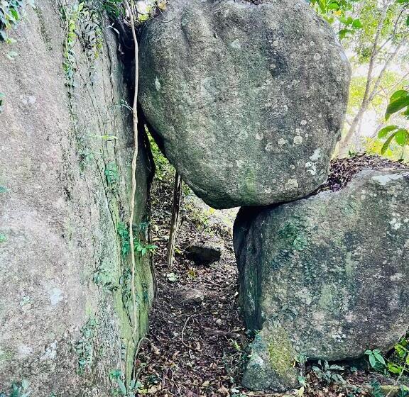 리조트 Nature Sanctuary Urumbi Hills