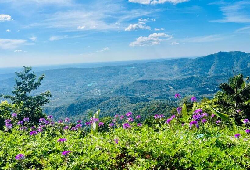 리조트 Nature Sanctuary Urumbi Hills