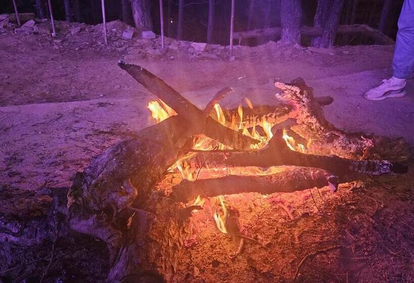 Курорт Shiv Forest Villas