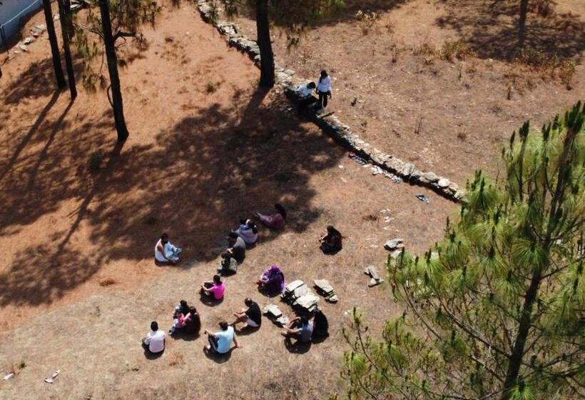 אתר נופש Shiv Forest Villas