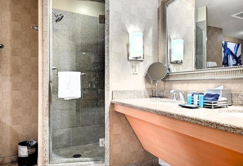 Sphere In Hd!   1br Private Retro Condo With Premium Views