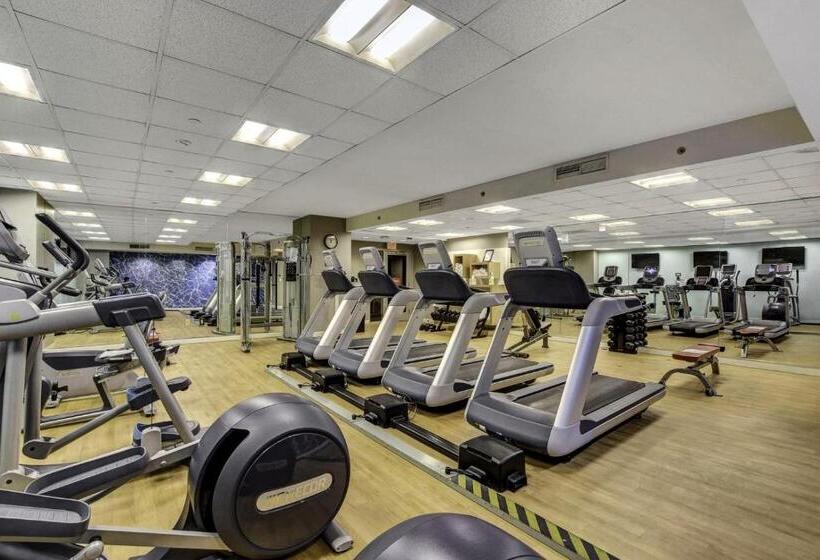 Sphere In Hd!   1br Private Retro Condo With Premium Views