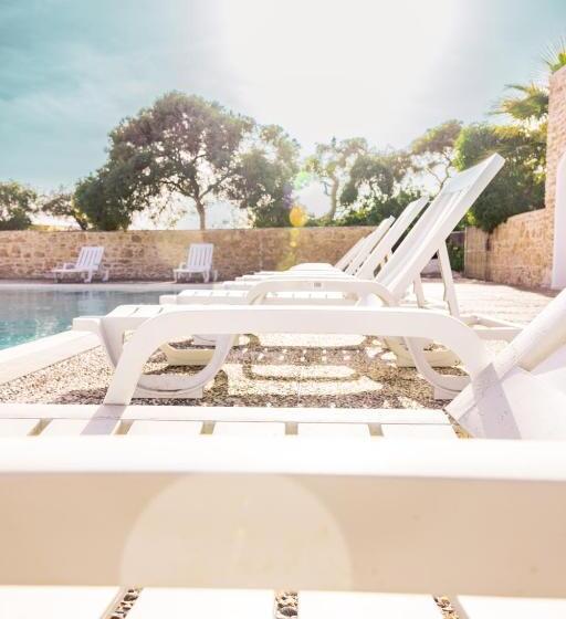 The Mogador S Oasis
