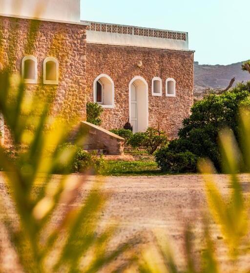 The Mogador S Oasis