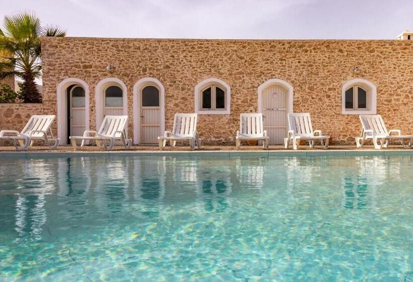 The Mogador S Oasis