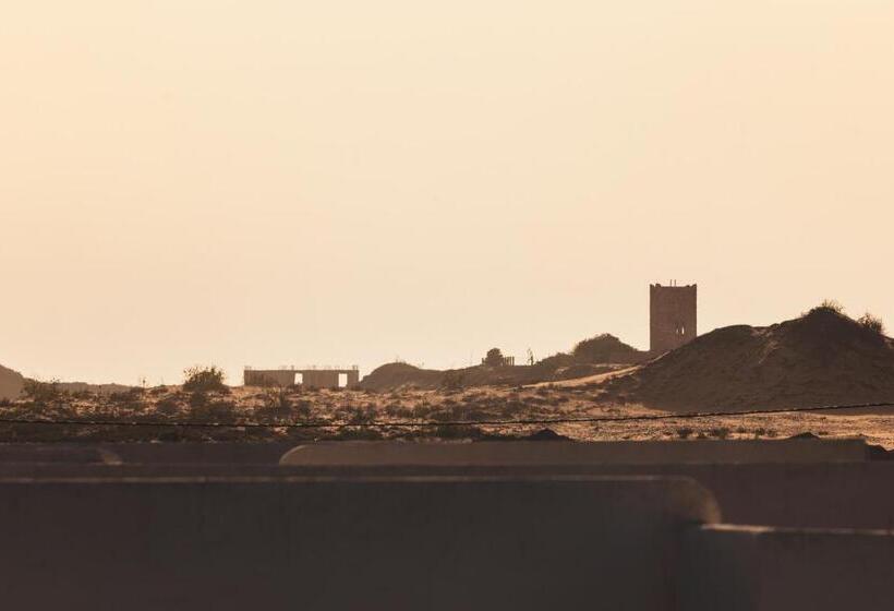 The Mogador S Oasis