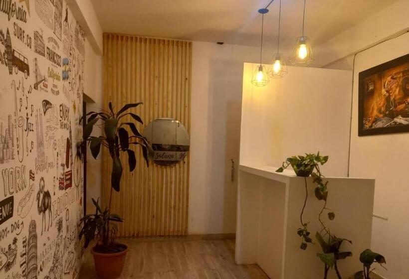 호스텔 Solano House