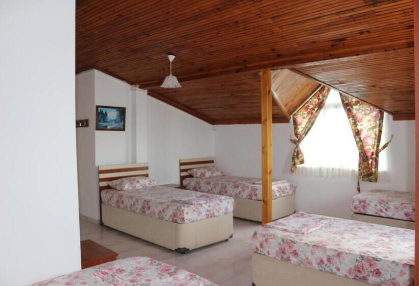 ユースホステル Trekios Pansiyon & Cafe