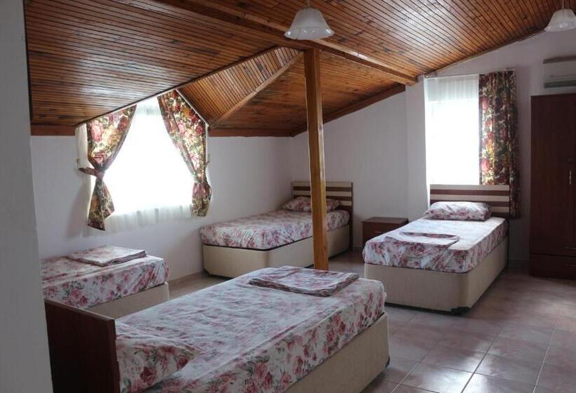 ユースホステル Trekios Pansiyon & Cafe