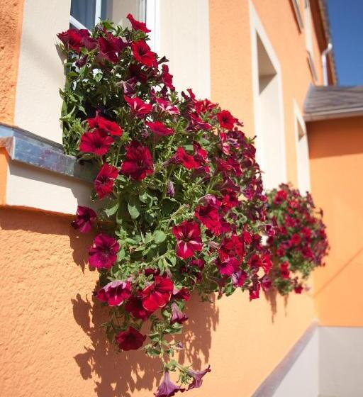 Общежитие Wolfsgrunder Festhof