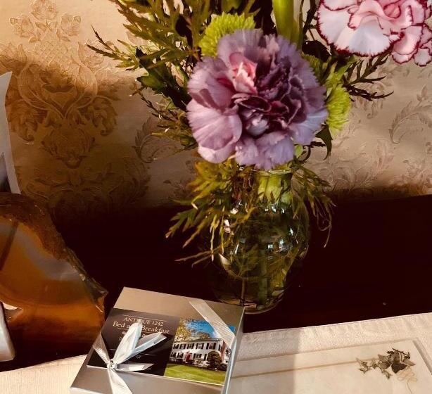 Antique1242 British Bed & Breakfast