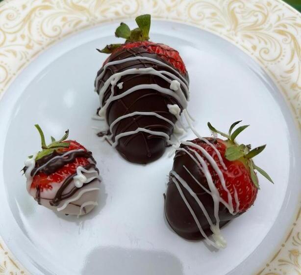 Antique1242 British Bed & Breakfast