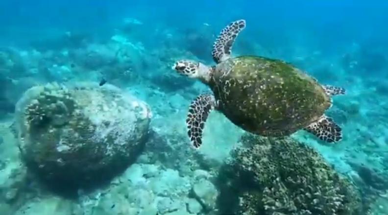 ベッドアンドブレックファースト Leona Guest Inn