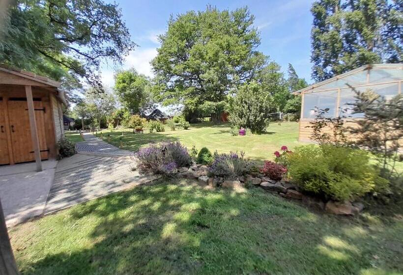 ベッドアンドブレックファースト Nedleys Glamping