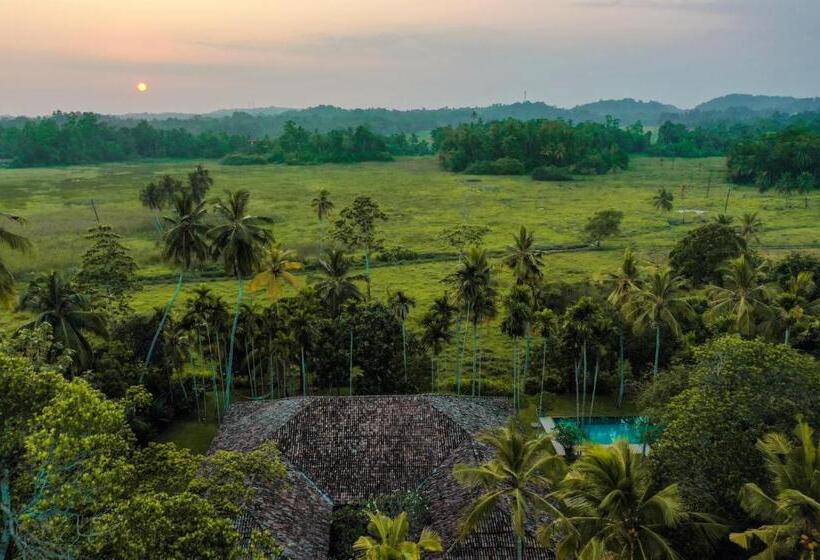 민박 The Rice Rooms