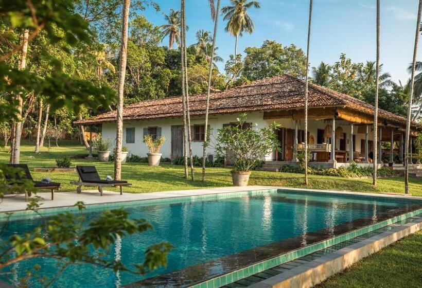 민박 The Rice Rooms