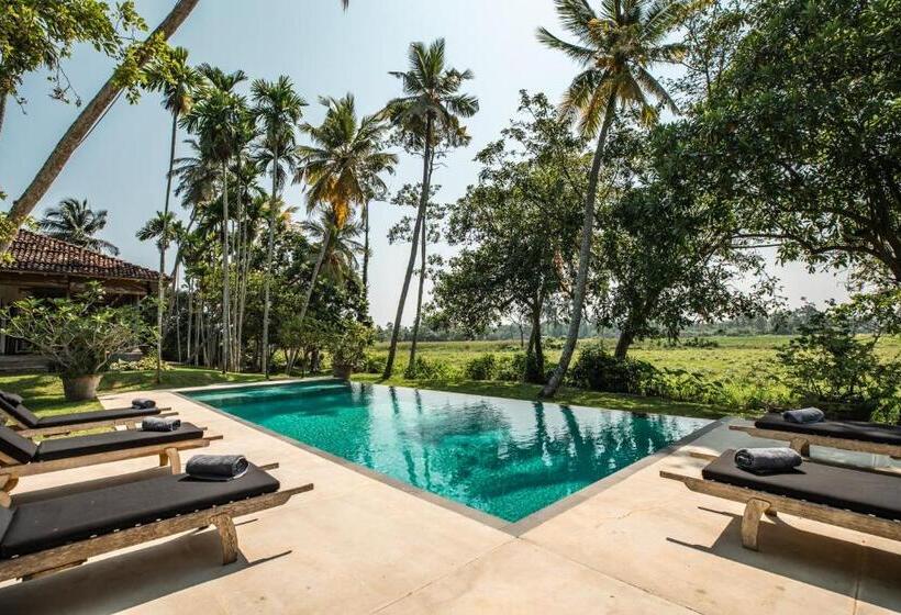 민박 The Rice Rooms