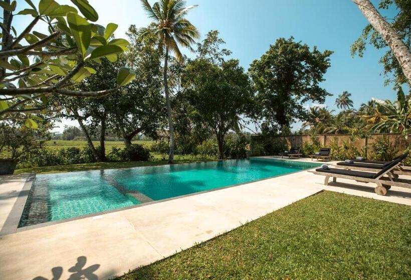 민박 The Rice Rooms