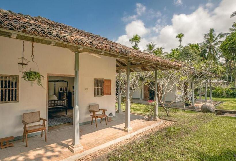 민박 The Rice Rooms