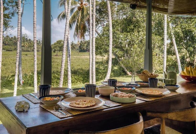 민박 The Rice Rooms