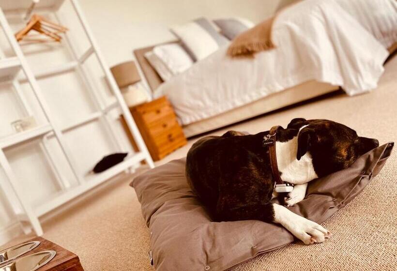 ベッドアンドブレックファースト The Ventnor Annex