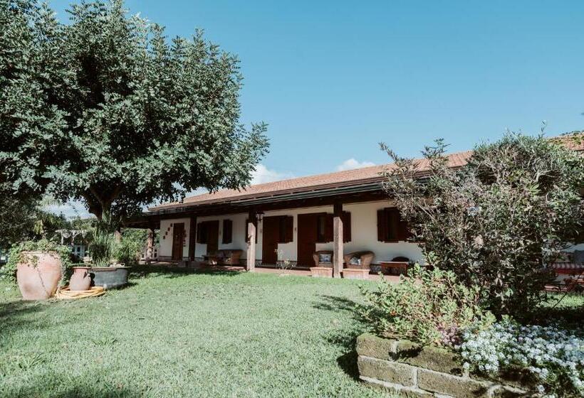 בית מלון כפרי Agriturismo La Mia Terra