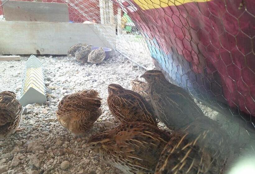 Капсульный Oтель Cuartos A Pie De Carretera Mexico Teotihuacan