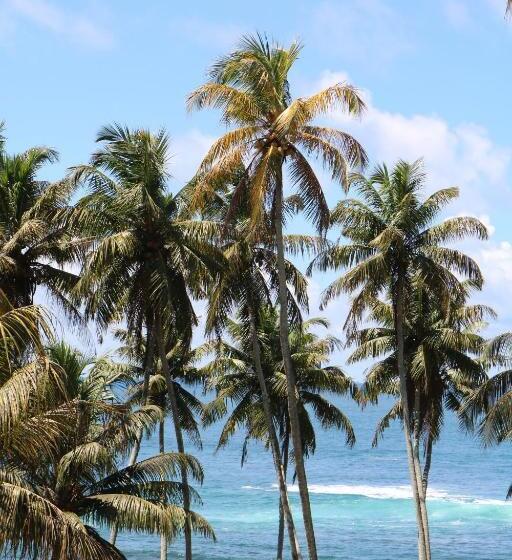 호텔 Triton Dondra