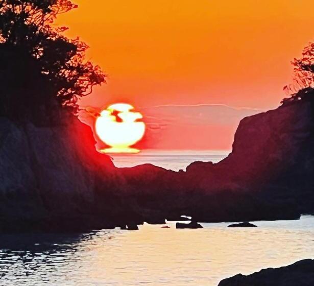 Пансион ゲストハウスみんちゅう