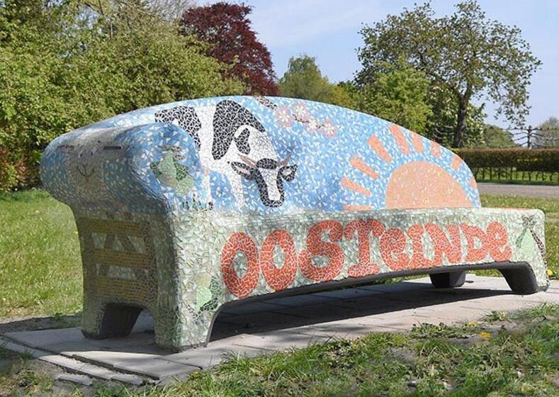 פנסיון Appartement Ruinerwold